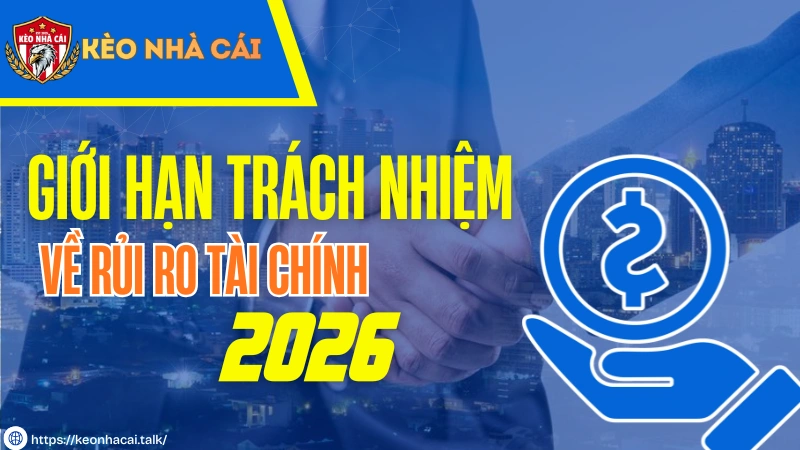 Giới Hạn Trách Nhiệm Về Rủi Ro Tài Chính