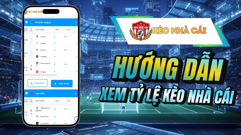 Hướng dẫn cách xem tỷ lệ kèo nhà cái chuẩn xác 2026